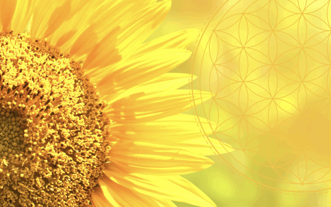 Sacred Geometry 1 – TO